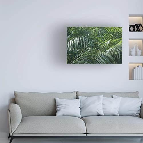 Marca registrada Belas Artes 'Tropical Fronds' Arte de tela por portfólio de maçã selvagem 16x24