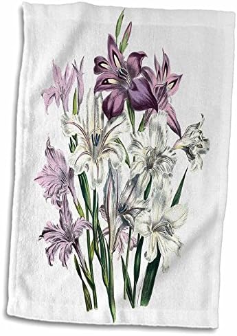 Flores vintage de rosa 3d Gladiolus em toalha branca rosa e lavanda, 15 x 22