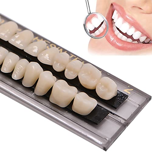 Mibiciri 84 PCs Resina acrílica dentes dental dental dental resina sintética dentes de dentes de halloween halloween Prop 23