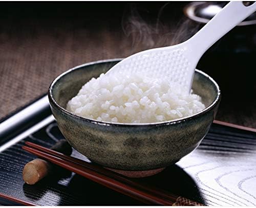 6 pedaços de arroz pás de plástico não bastão branco arroz japonês espátula de cozinha, 7,5 polegadas