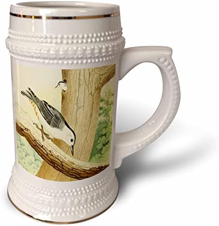 3drose Brancheted Nuthatch Vintage Bird Art Print Hatch. - 22 onças de caneca