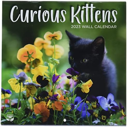 Turner Photograpic Curious Kittens Photo Mini Wall Calendar