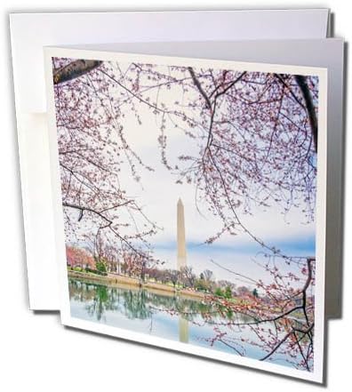 Cartão de felicitações 3drose George Washington Memorial em Washington DC, 6 x 6