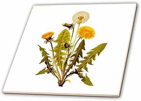 3drosrose vintage floral amarelo dente -de -dente -de -leão ilustração botânica - azulejos