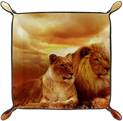 Lyetny Africa Safari Lion Lion Casal Paisagem Steppe Organizador Bandejas Caixa de armazenamento CABELA CABELA CADDY Desktop Alteração de troca de carteira Caixa Caixa de moeda Bandejas de armazenamento de bandeja, 20.5x20.5cm