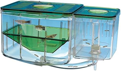 Penn -Plax AN2 Aqua Nursery and Hatchery Cheeding Box para o seu aquário - Ajude a proteger peixes bebês de predadores