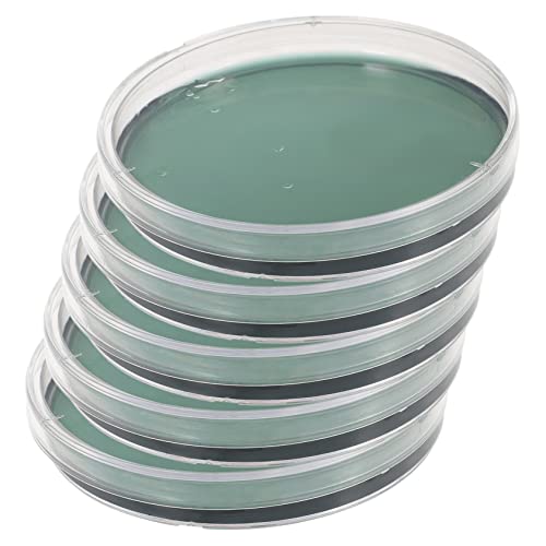 Villful 5pcs Nutriente Agar Culture Culture Laboratory Experimento de Laboratório de Laboratório Ofereça Round Petri Dish Agar Placas Petri Placas Petri com ágar Placas de Petri Prepredida com Tampa Colômbia