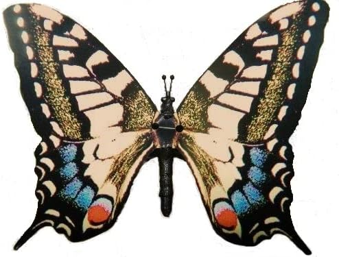 Aliformes ativos em movimento Butterfly - Swallowtail