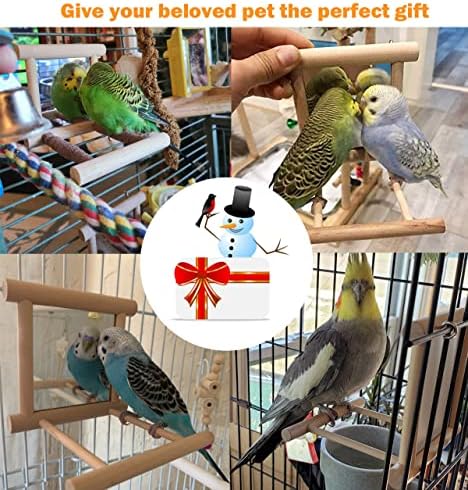 Mirror de pássaro, brinquedos de papagaio de pássaro balanço balanço pendurado com espelho para pássaros pequenos cinza periquito