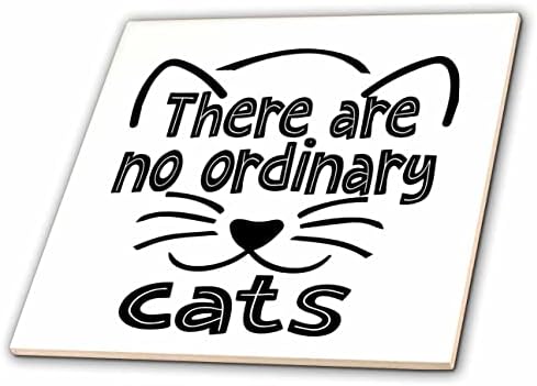 3drose Sandy Mertens Cat Designs - Não há gatos comuns de arte de linha preta - azulejos
