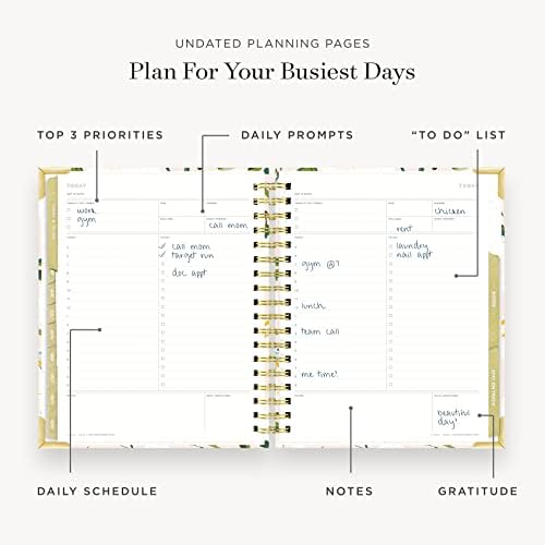 Day Designer Planks Planner Deluxe, janeiro a dezembro de 2023, agenda mensal semanal, 9 x 9,75, chegando a Roses capa dura com detalhes de luxo, limite em espiral, adesivos, definição de metas e muito mais