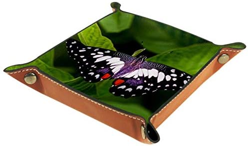 Lyetny Green Butterfly Organizer Bandejas de armazenamento Caixa de armazenamento Bandeja de desktop Caddy Alterar a carteira de caixa de moeda de caixa