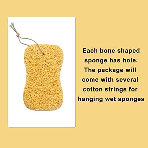 6 PCs Amarrem esponjas, esponjas de celulose compactadas esponjas naturais não arranhadas para selas, cuidados com couro, artesanato, cozinha