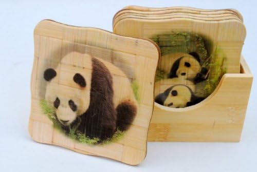 Conjunto de montanha -russa de bambu - pandas