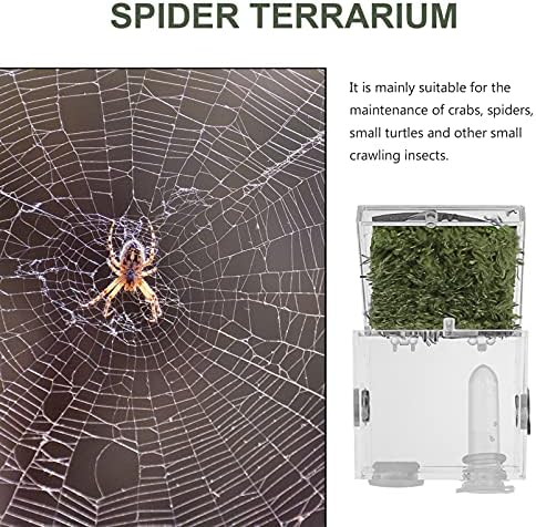 Terrarium de réptil terrário de Zerodeko, caixa de criação de aranha acrílica clara com pinças e gotas de gotas de alimentação,