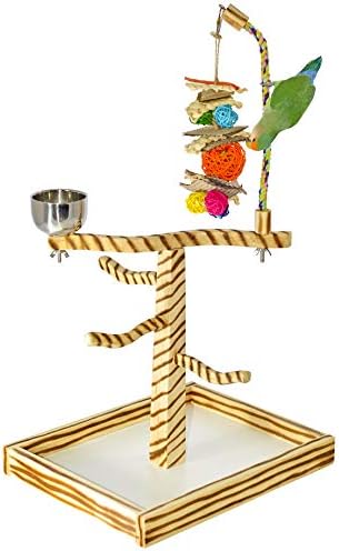 Birds Love Bird Play Gym Combuttop W Cup, cabide de brinquedo e brinquedo, Javan Tigertail Stand-grande
