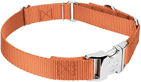 Country Brook Petz - Coral Heavyduty Nylon Martingale com fivela premium - mais de 30 opções de cores vibrantes