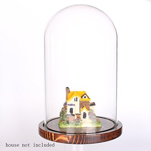 Moonlearlel Glass Cloche Bell Jar DOME com base de madeira dia 5.9 x h 10