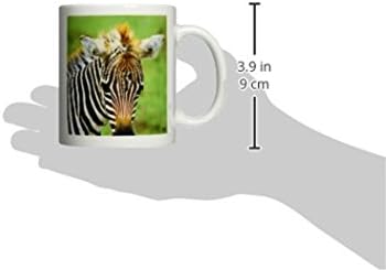 3drose comum zebra quênia caneca de cerâmica, 11 onças