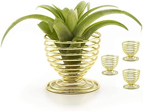 YFQHDD 8PCS Air Plant Holder Spiral Planter Decoration,