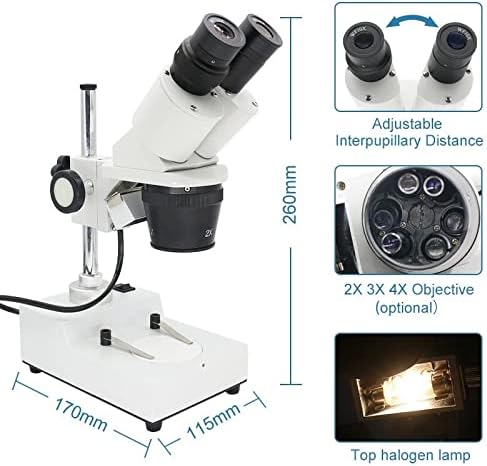 Acessórios para microscópio 20x 30x 40x Microscópio binocular Binocular Microscópio Industrial Microscópio Top LED LAB LAB CONSUMPLOS