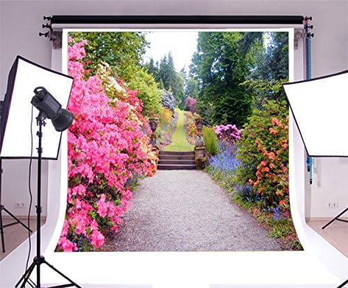 Aofoto 8x8ft bela Spring Blossom Flower Fotografia de cenário cenário paisagem fundo ao ar livre parque vintage Manor cenário de casamento