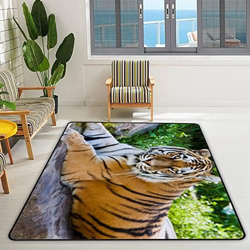 Rastreamento de tapete interno tigre tigre siberiano para sala de estar quarto educacional berçário tapetes de tapete de tapete 63x48in
