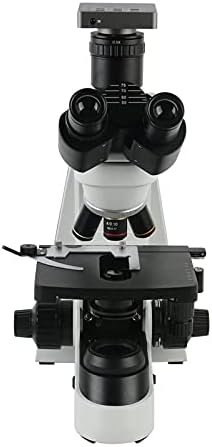 XXXDXDP 40X - 1000X 1600X 2000X Microscópio biológico profissional do Microscópio Trinocular
