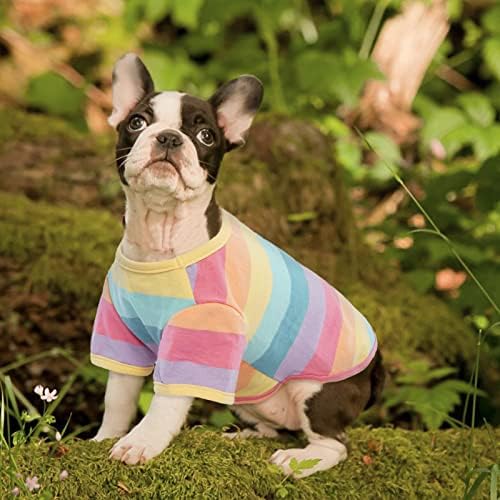 Camiseta de cachorro para cães pequenos menino menina, roupas de estimação listradas colete de algodão elástico, roupas de