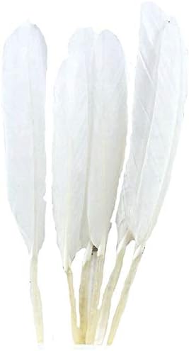 20-100pcs/lote artesanato penas penas de pato ganso para uma pluma de festa de bricolage para jóias que tornam decorativa