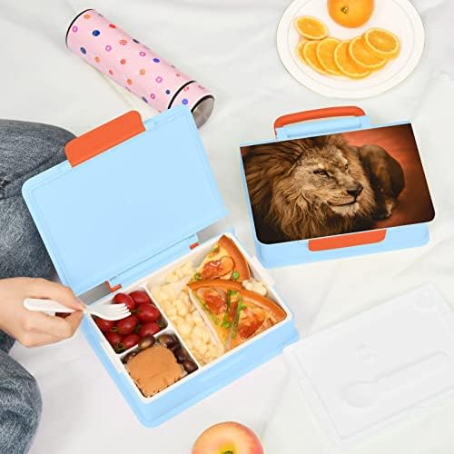 Alaza Lion deitado na lancheira da arena Bento BPA BPA Lunch Recectadores de Almoço com Fork & Spoon, 1 peça