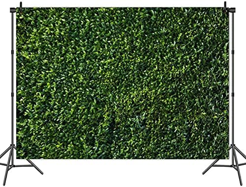 Xll 10x8ft vinil natureza 3d primavera folhas verdes foto fotográfica recém -nascida fotografia fotografia cenários de casamento festas de aniversário de festa de banner props tabela de mesa de bolo cabine de mesa