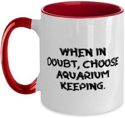 Belo aquário que mantém presentes, em caso de dúvida, Escolha a manutenção de aquário, aquário que mantém dois tom