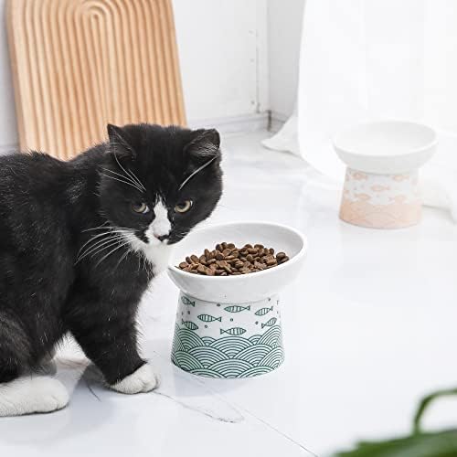 Tigelas de gato levantadas em cerâmica, alimentos de gato inclinados e conjunto de tigela de água, estresse por porcelana