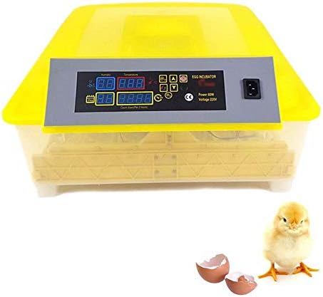 Incubadores de zapion para chocar ovos automáticos Turnando Termature Control Poultry 48 ovos para galinhas patos Birds Birds