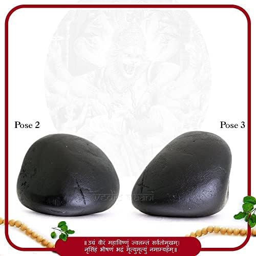 Védico vaani Narsimha avatar bhagwan anish shaligram shila