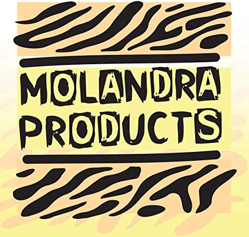 Molandra Products Este espaço disponível para publicidade. - Garrafa de água de aço inoxidável de 20 onças, prata