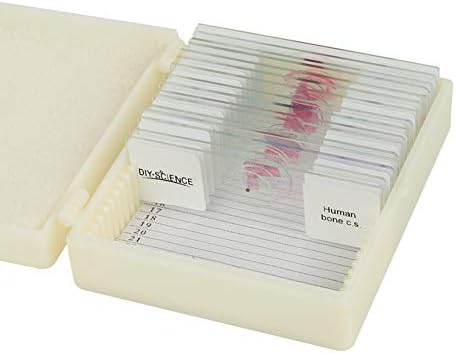 Conjunto de lâminas de microscópio de anatomia de tecido humano preparado, slides preparados à mão 17pcs pesquisam os principais tecidos