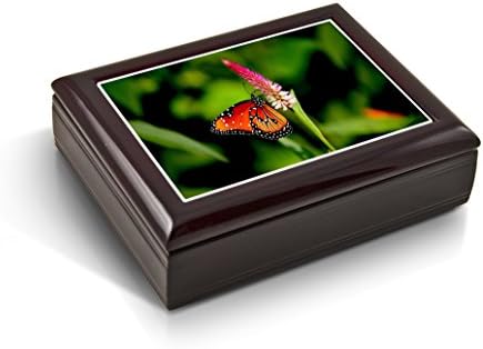Uma caixa de joalheria musical de borboleta monarca colorida radiante - muitas músicas para escolher - beijos de borboleta