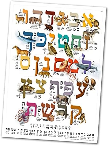 Hebraico Aleph BET Poster/gráfico de animais para crianças com alfabeta imprimido e cursivo Perfeito para iniciantes para aprendizes