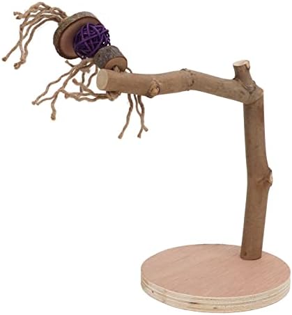 PLAPAOOOOOOO POLADO PARROT STAND, Toy Stand de madeira destacável natural, suporte para mesa de papagaios, bobo de pássaro