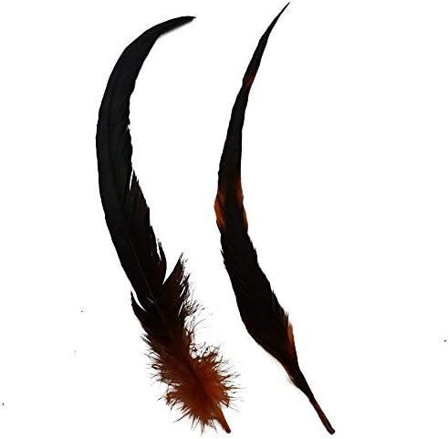 Cenfry Nature Rooster Coque Tails Feathers Costume Craft Decoration 12-14 polegadas de 25