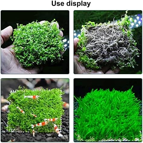 10pcs Aquário Moss Net, Mesh de arame de resistência à corrosão de aço inoxidável para paisagismo de tanques de peixes