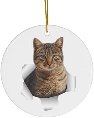 Gato gato de gato engraçado, vá embora o buraco presentes 2023 ornamentos de árvore de natal Círculo de cerâmica