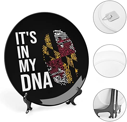 Está na minha bandeira de DNA Maryland placas decorativas com ornamentos pendurados em china pendurada