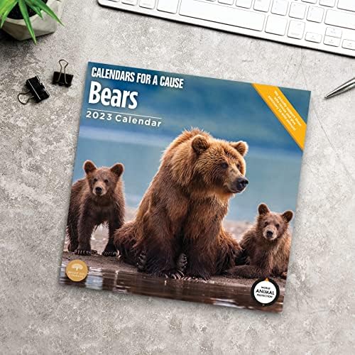 2023 Bears Monthly Wall Calendário por dia brilhante, calendários por uma causa, 12 x 12 polegadas, bela Nature Wildlife