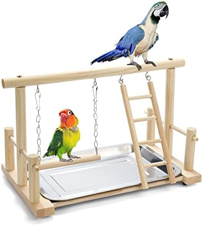 Frgkbtm Natural Wood Bird Playground Parrot Playstand Play Play Playpen Playpen Plataforma de balanço escada com brinquedos Exercício