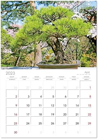 Bonsai: Arte do jardim em pequena escala), calendário mensal Calvendo 2023