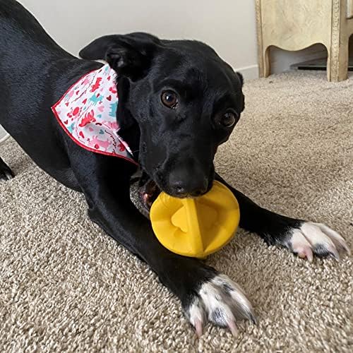Snuggle Puppy Bounderz - Brinquedo de cães de água e piscina - Bola de brinquedo flutuante amarelo de 3,5 de 3,5 que é divertido