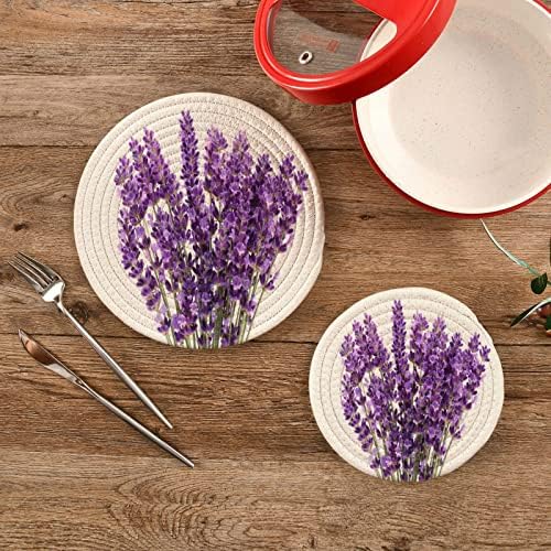Alaza Lavender Flowers Pote Titulares Trivets Conjunto 2 PCs, Potholders para cozinhas, montanhas -russas de algodão